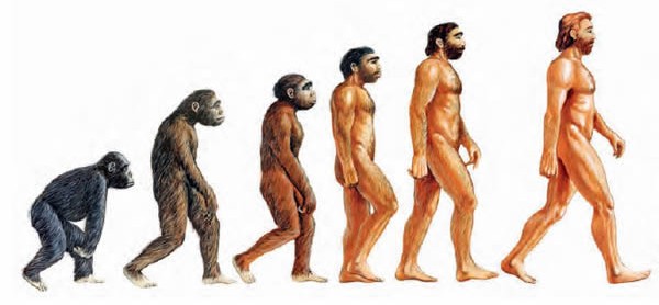 evolucion